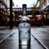 Обучающая статья: Gin-style дома