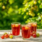 Морс Крыжовниковый “свежий”